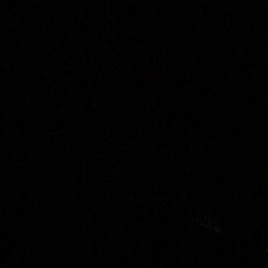 Meet your Posher, Arianne